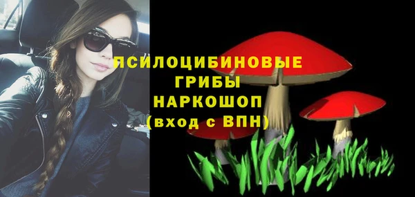 apvp Бронницы