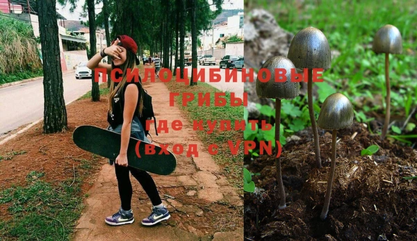 apvp Бронницы