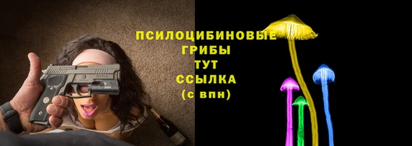 apvp Бронницы