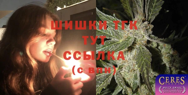 винт Бородино