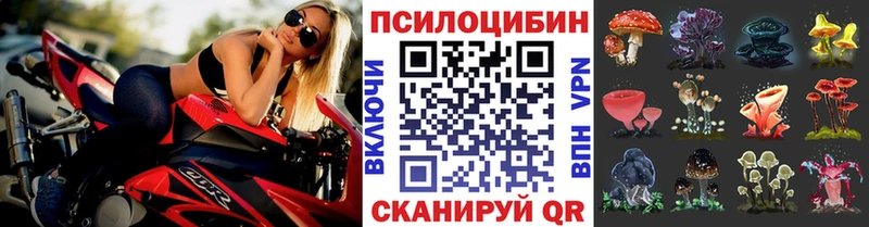 Псилоцибиновые грибы Cubensis  Касимов 